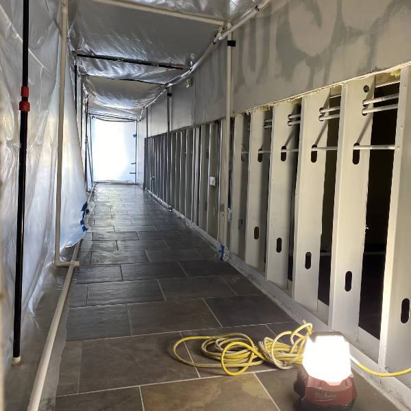 mold removal services